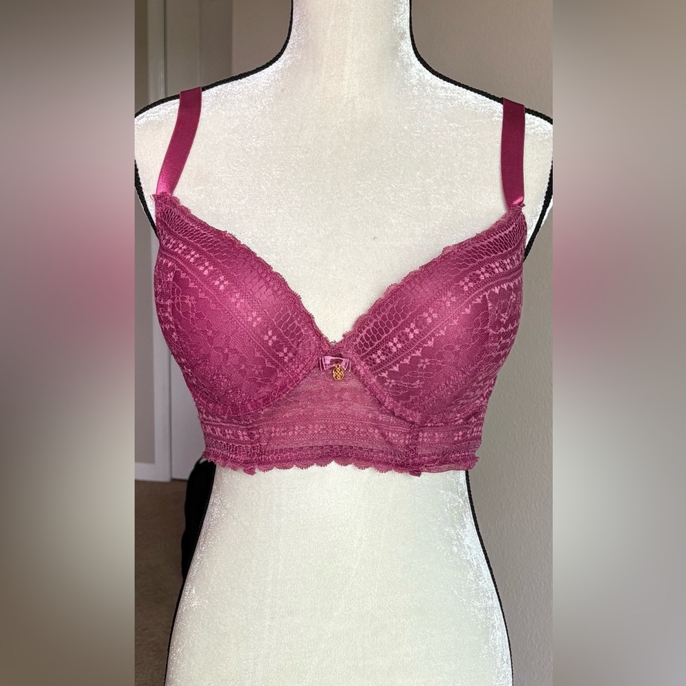 Daisy Fuentes Lace Underwire Push Up Bra